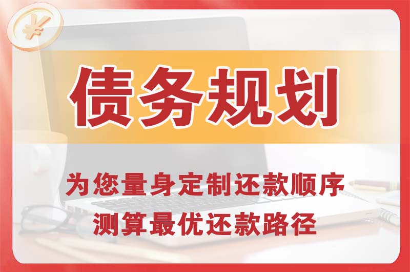 滑县债务规划